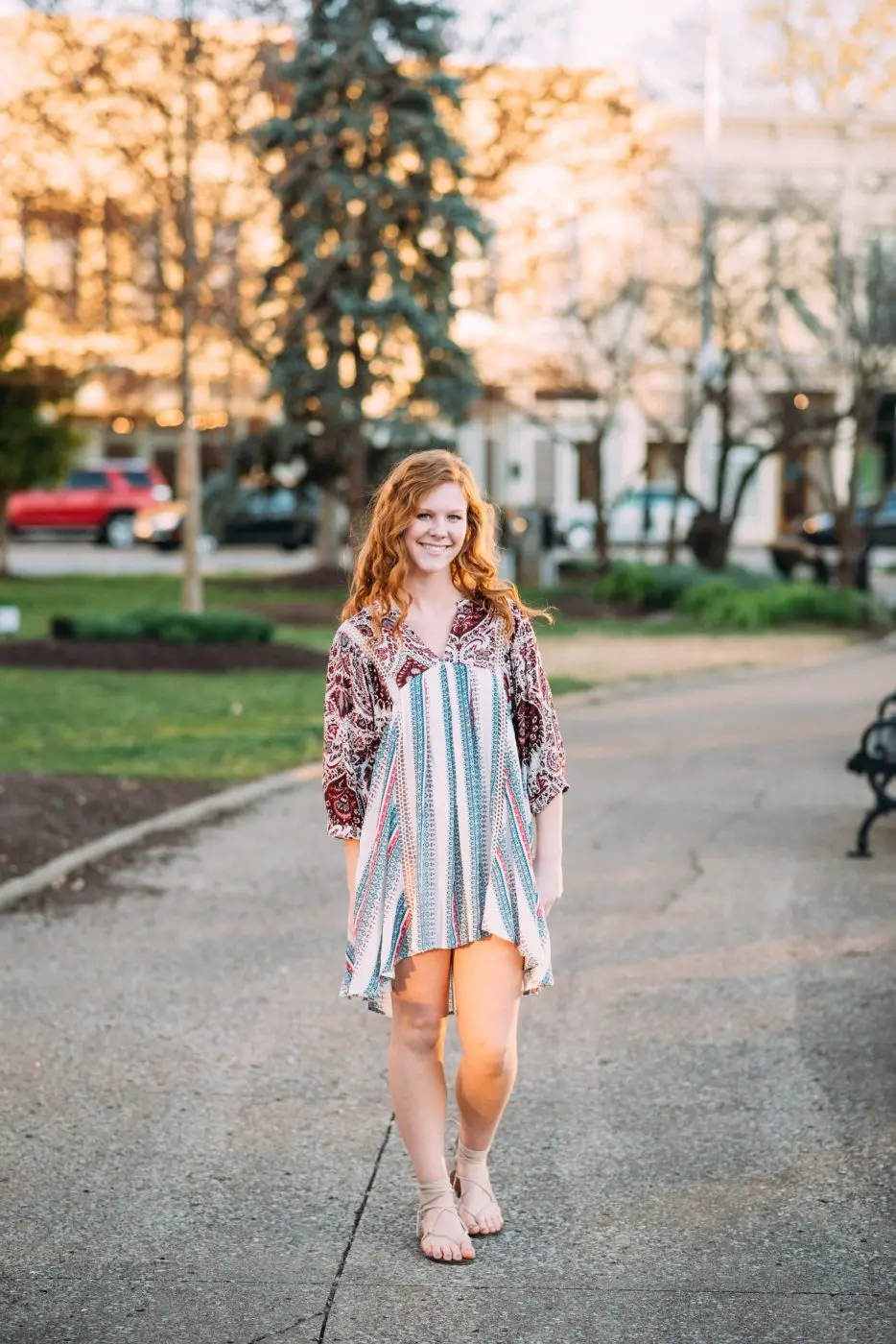 Picnic in the Park dress
